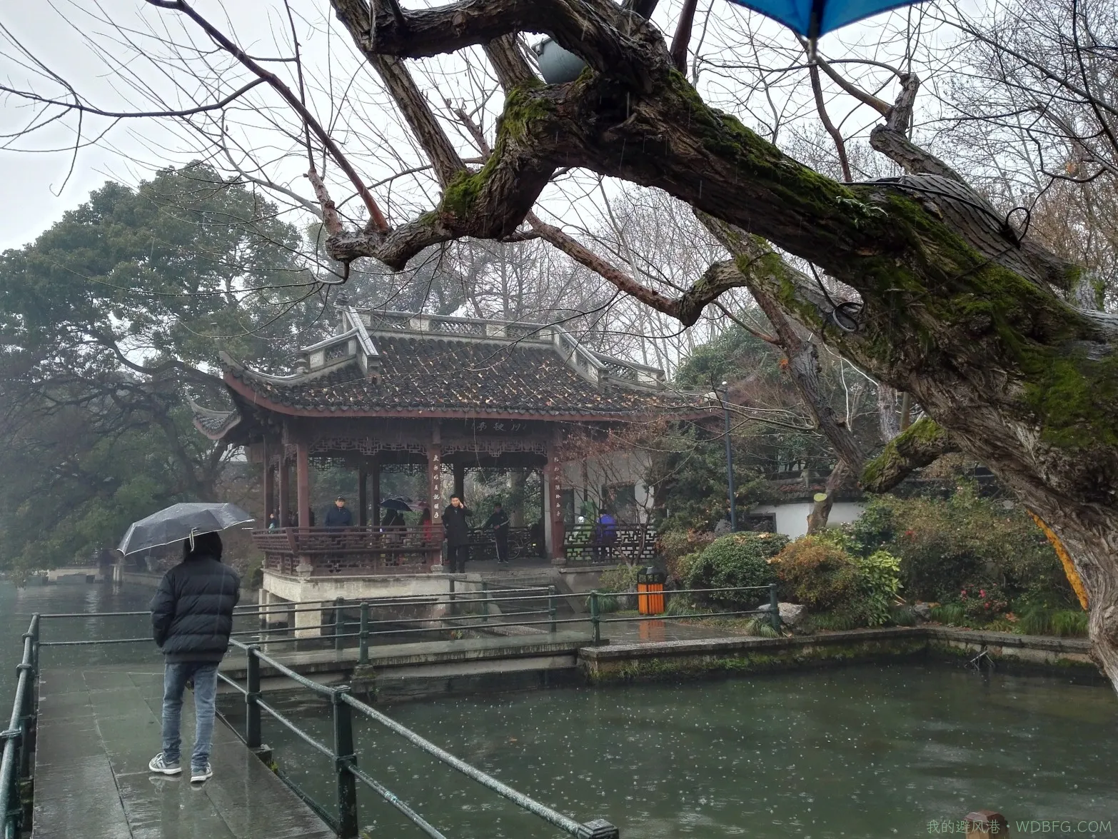 杭州西湖，我来也