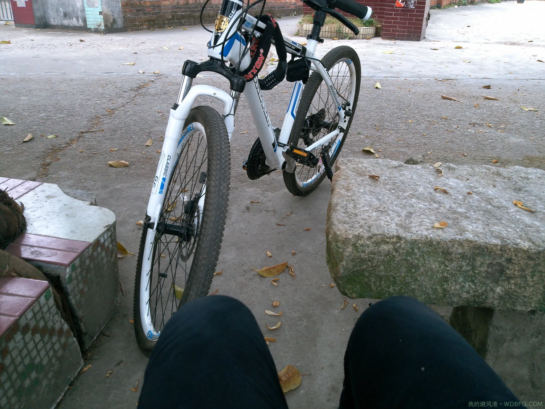 骑车看电影，悠闲的一天