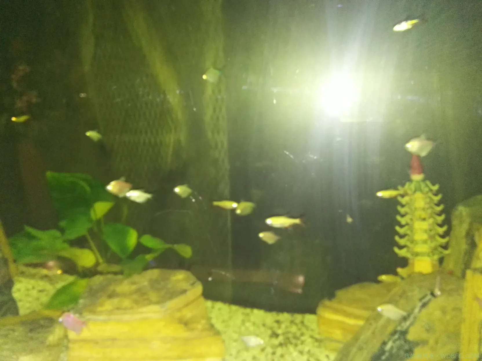 南京王府大街一个食府参观