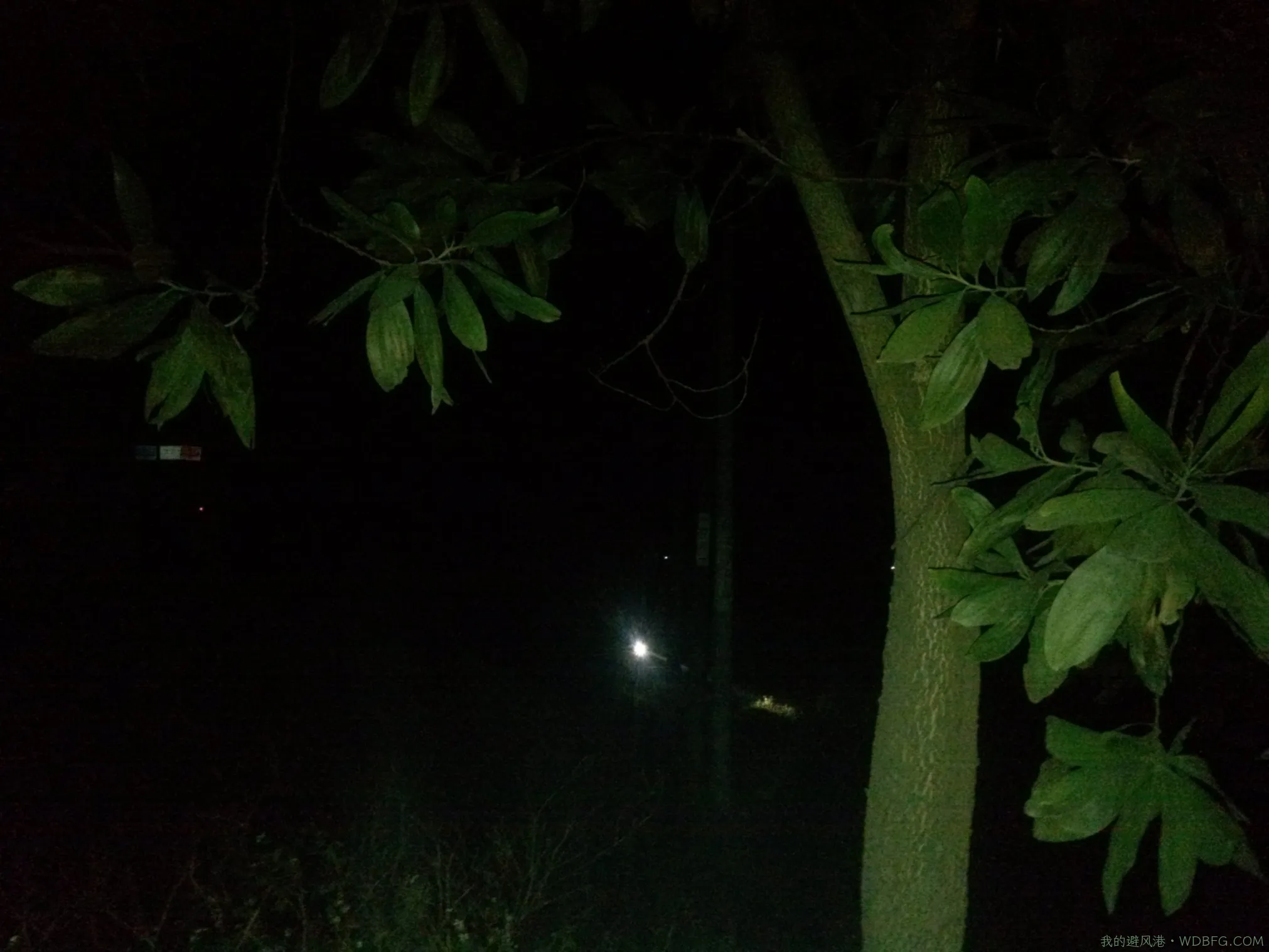 和朋友们一起去打野味