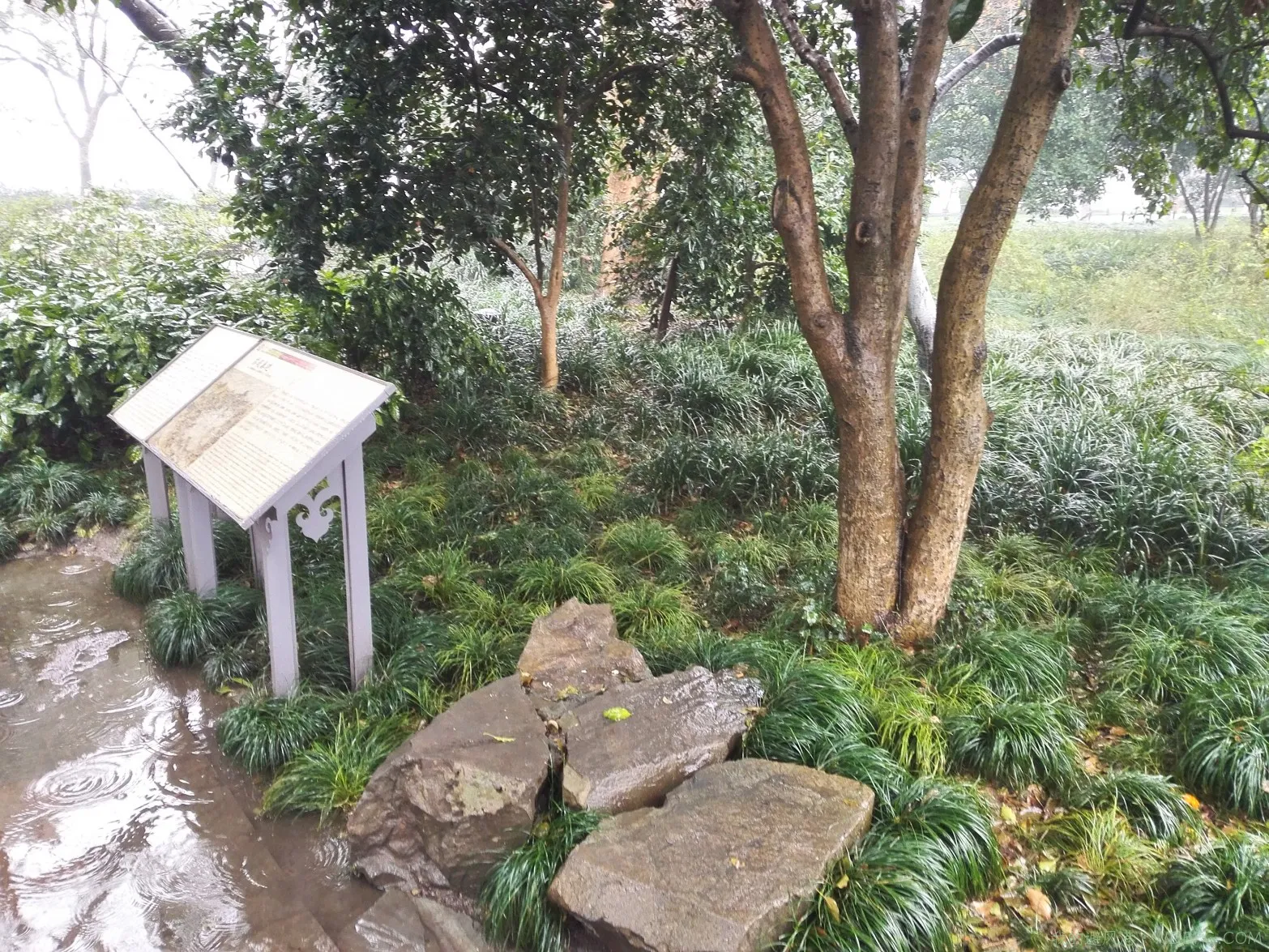 杭州西湖，我来也