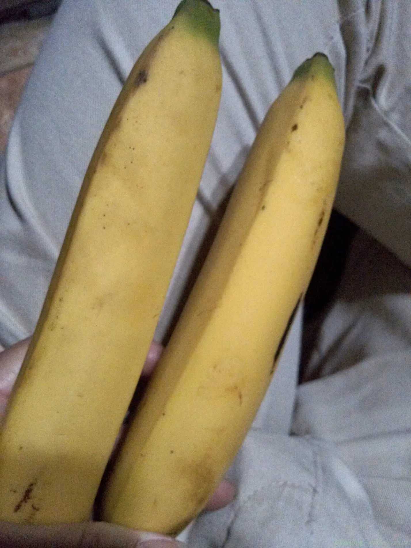 又是简单的一天过去了