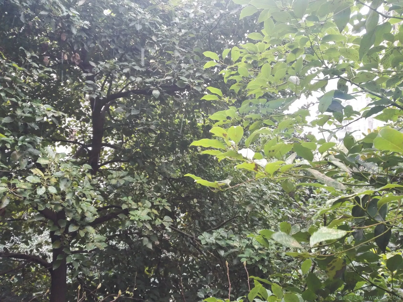 南京王府大街一个食府参观