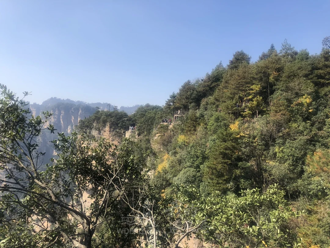 张家界景区一游